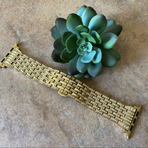 Icy Apple Watch Band